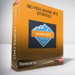 Basecamp – Big Fish Shark Bite Strategy