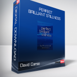 David Carse - Perfect Brilliant Stillness