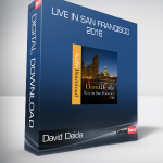 David Deida - Live in San Francisco 2016