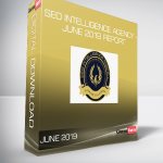 SEO Intelligence Agency - June 2019 Report