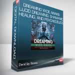 David Jay Brown – Dreaming Wide Awake: Lucid Dreaming, Shamanic Healing, and Psychedelics