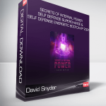 David Snyder - Secrets of Internal Power - Self Defense Supercharge & Self Defense Energetic Bootcamp 2021