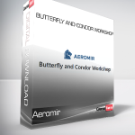 Aeromir - Butterfly and Condor Workshop